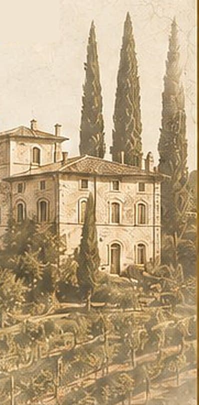 Engraved illustration of a hillside villa and cypress trees