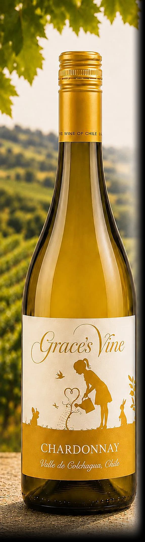 Grace’s Vine Chardonnay — bottle photographed for the Vindagra portfolio book