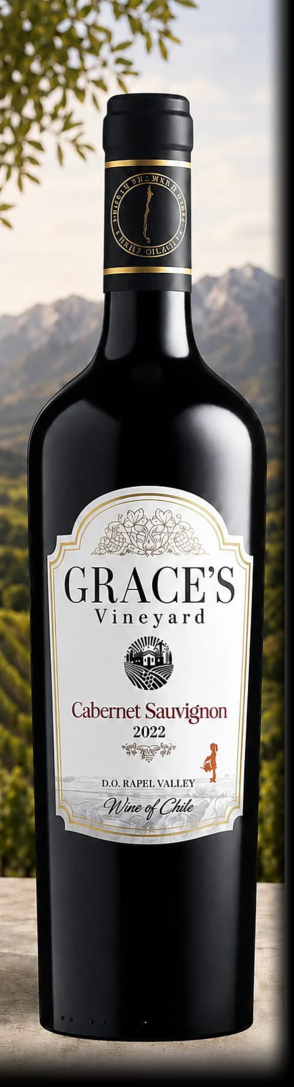 Chile — a bottle from the Vindagra portfolio in its landscape