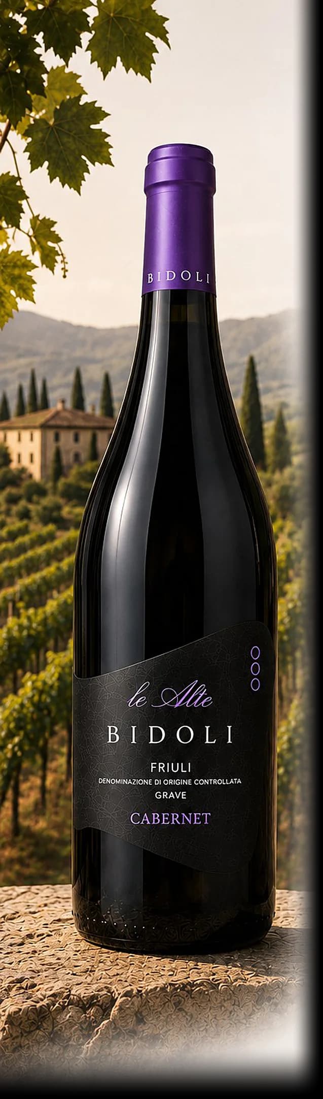 Bidoli Le Alte Cabernet — bottle photographed for the Vindagra portfolio book