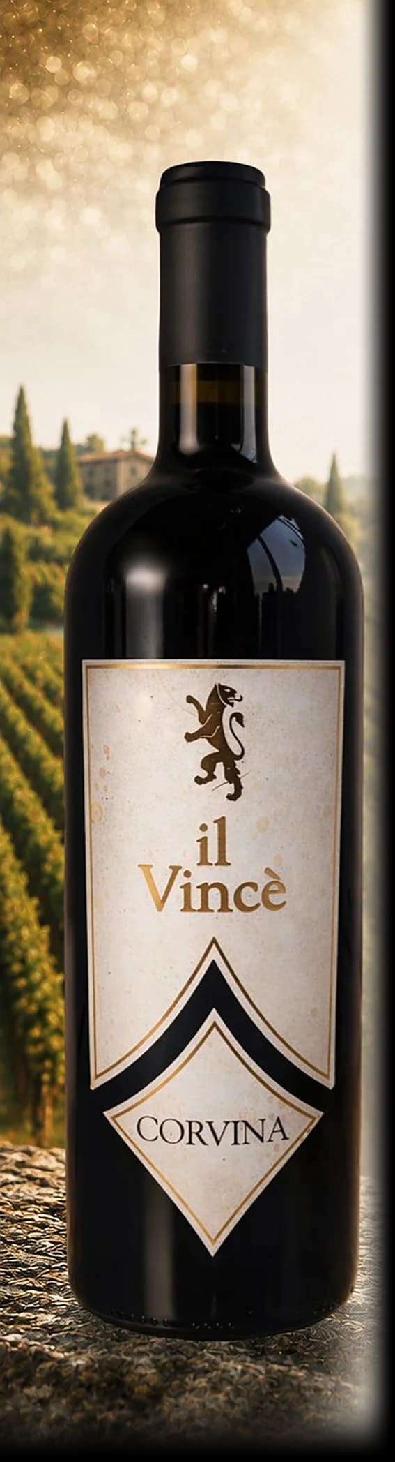 Il Vincè Corvina — bottle photographed for the Vindagra portfolio book