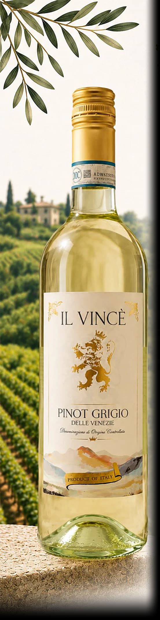 Il Vincè Pinot Grigio — bottle photographed for the Vindagra portfolio book